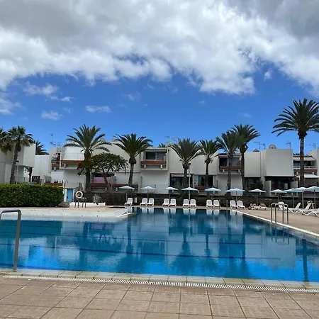 Primavera Tenerife Sur Arona (Tenerife)