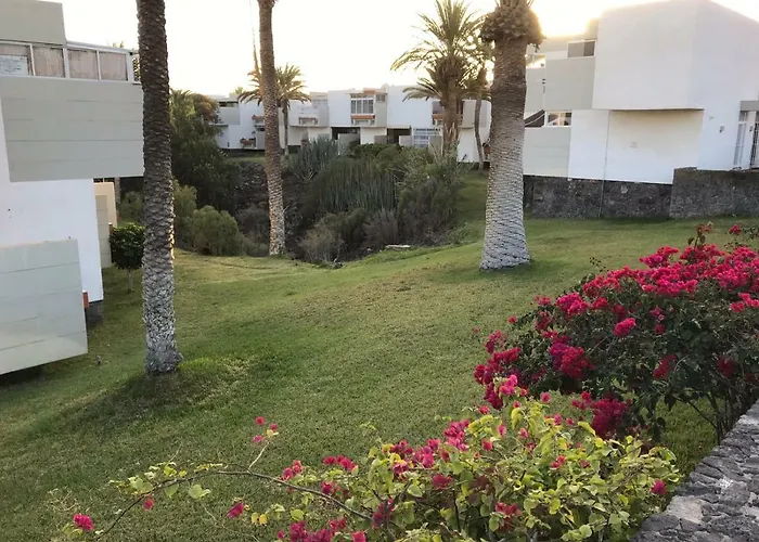 Primavera Tenerife Sur